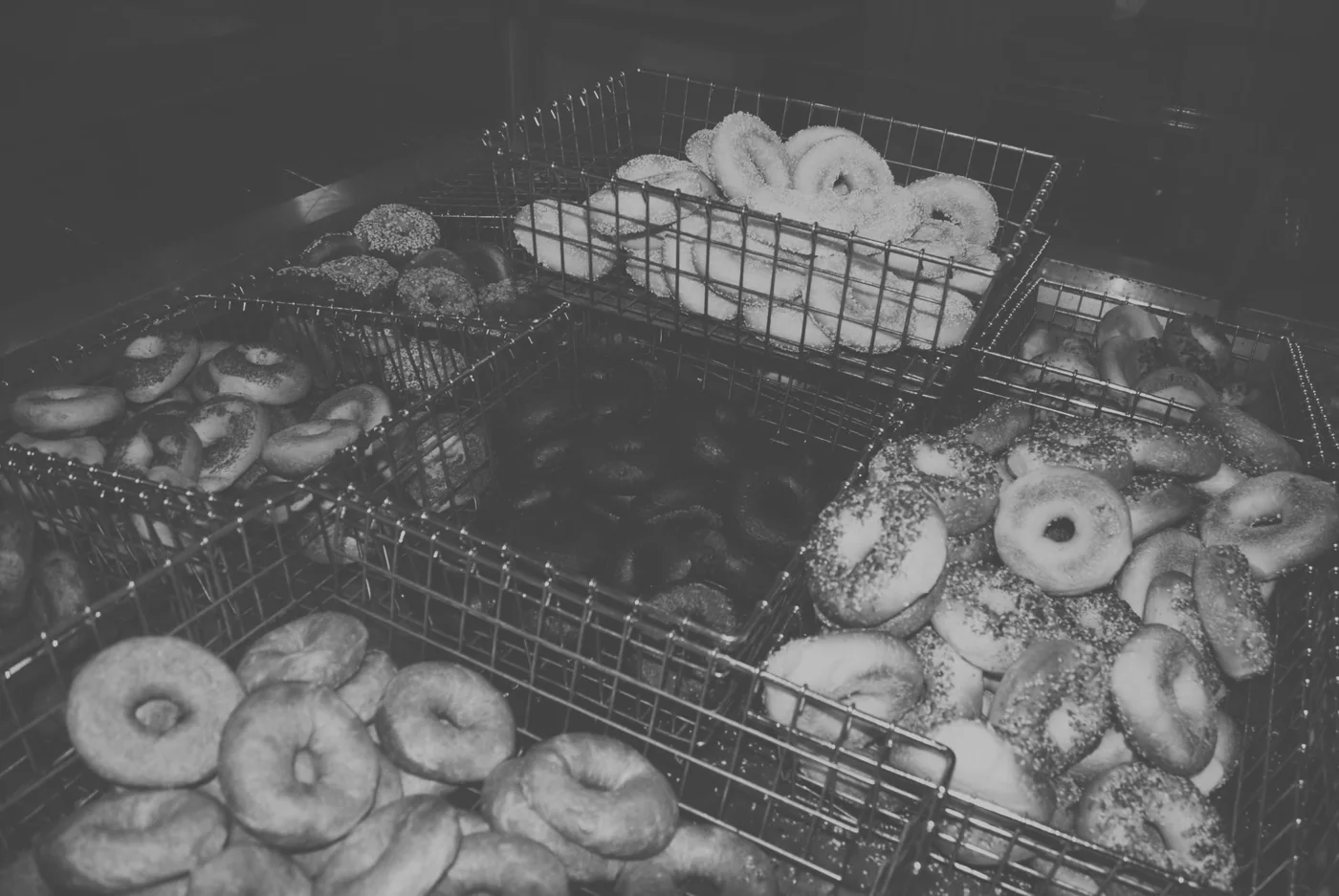 Bagel Oasis, business photo 2