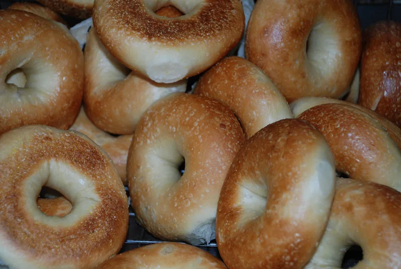 Bagel Oasis, Bagel shop