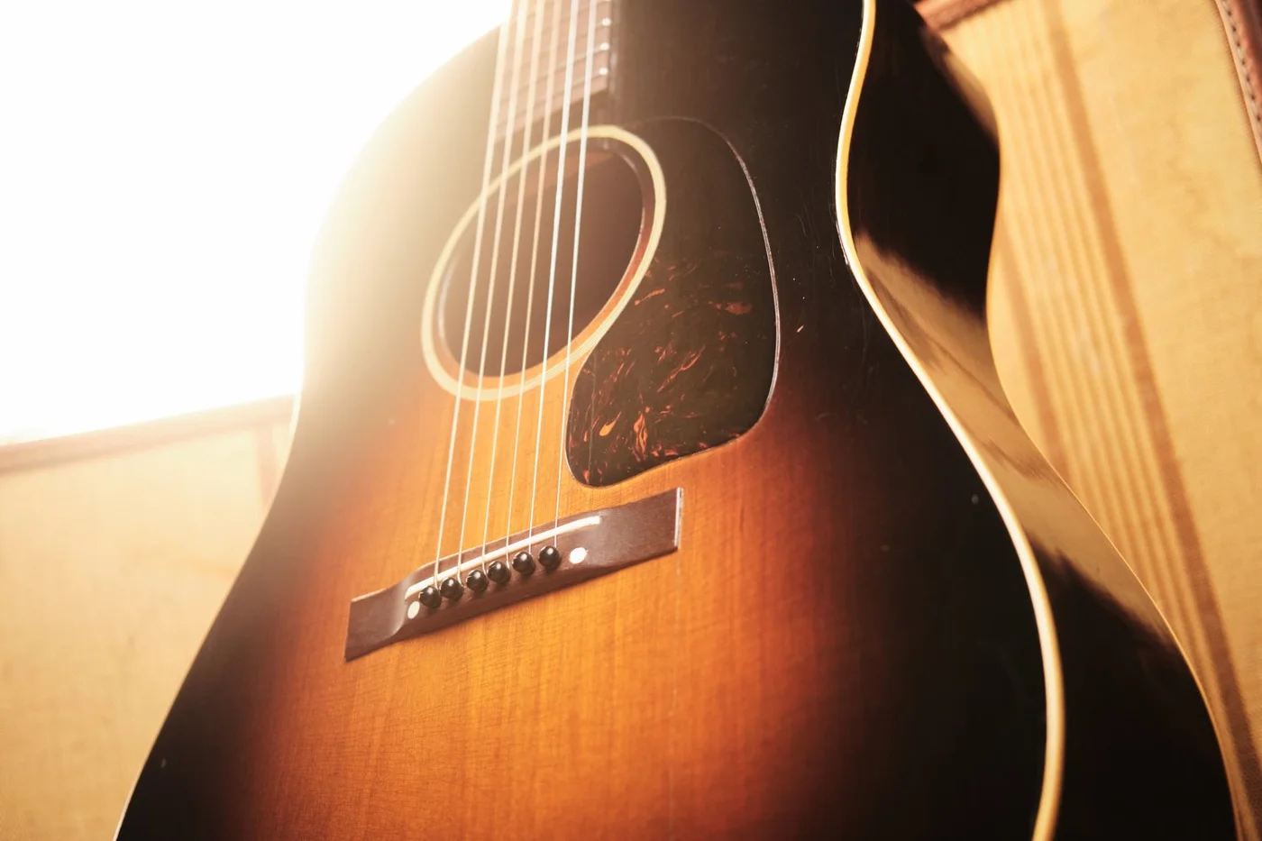 Emerald City Guitars, business photo 2