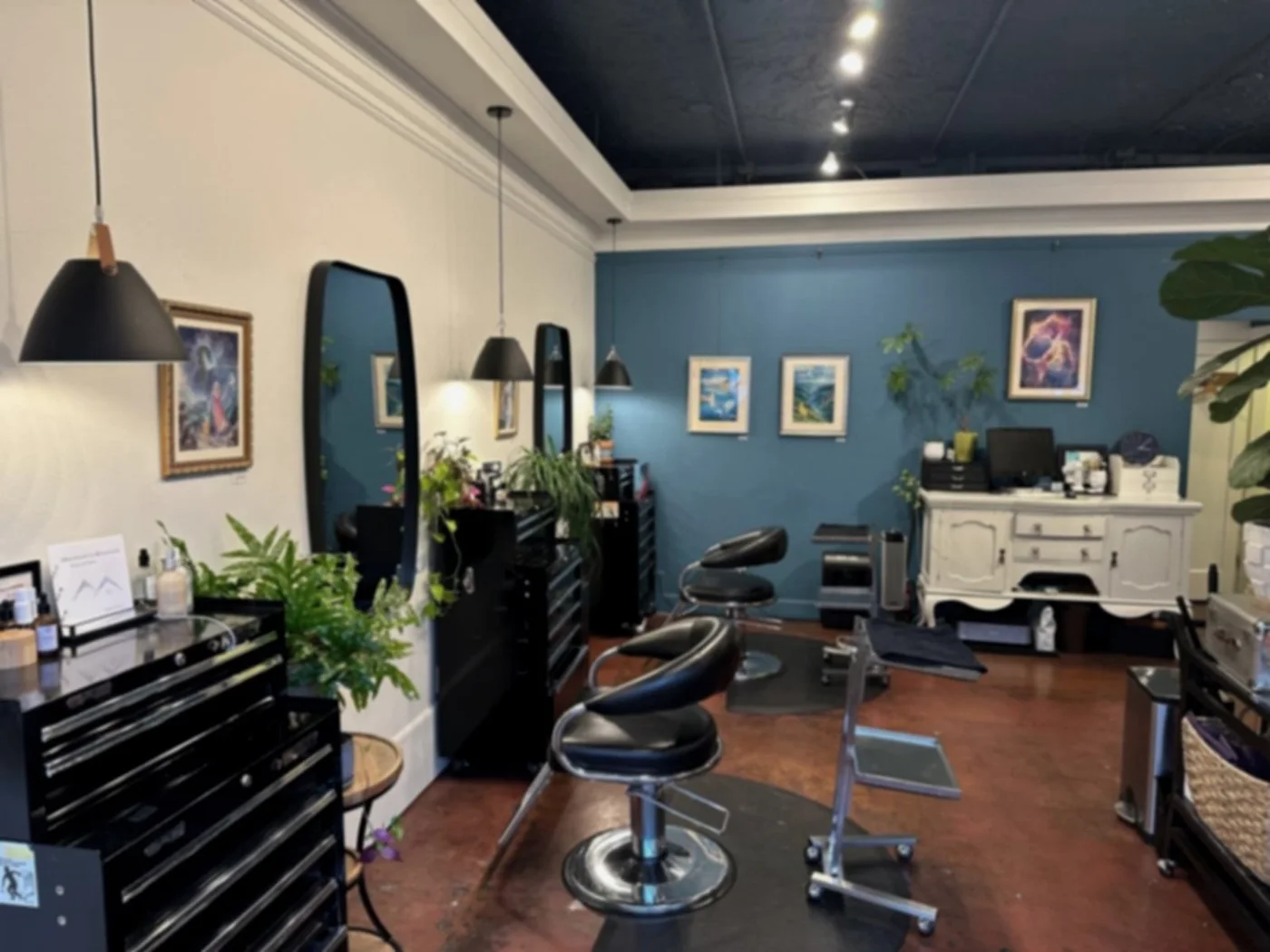 Evolve Organic Salon business photo