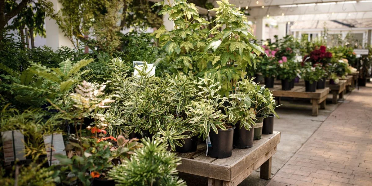 Magnolia Garden Center, business photo 3