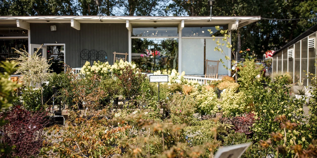 Magnolia Garden Center, business photo 2