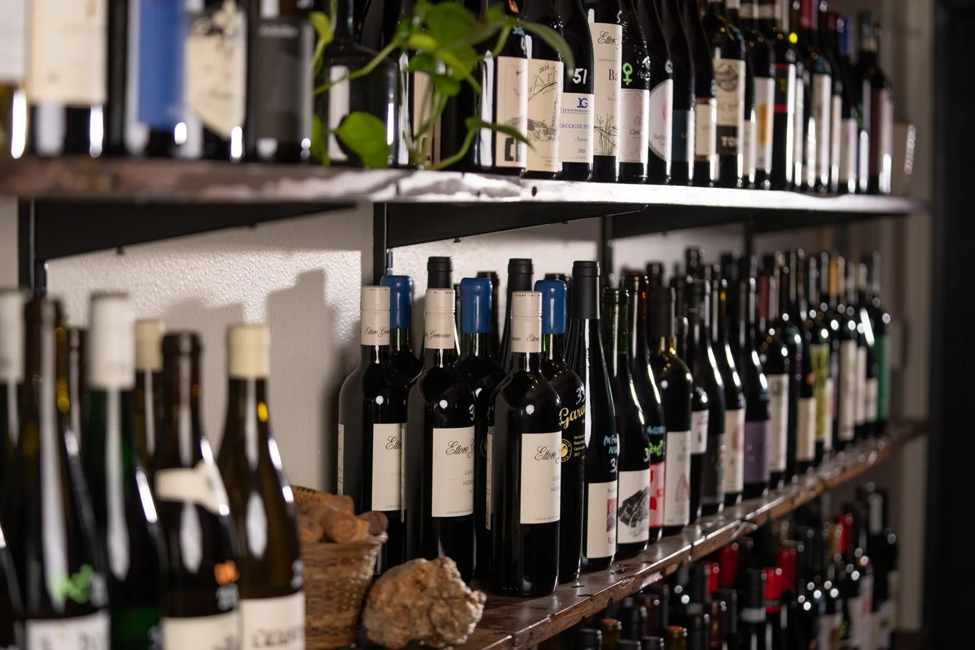 Queen Anne Bottle Shop, business photo 3