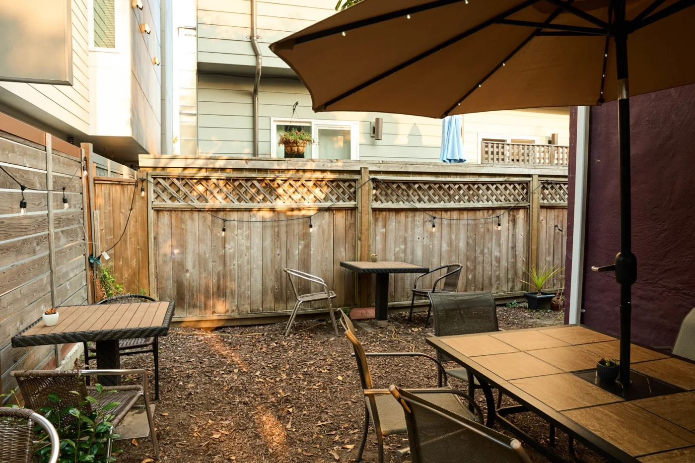 Wild Mountain Cafe, business photo 2